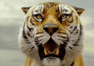 Screen shot 2012-12-05 at 6.17.05 PM