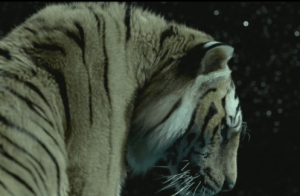 Screen shot 2012-12-05 at 6.19.33 PM