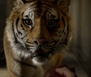 Screen shot 2012-12-05 at 8.13.20 PM