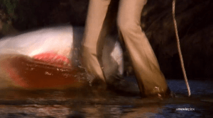 Screen Shot 2013-04-19 at 12.57.02 AM