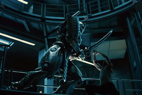 This was a bad fight.