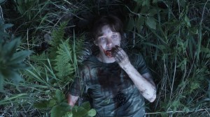 yellowbrickroad-yellow-brick-road-movie-berries-woods