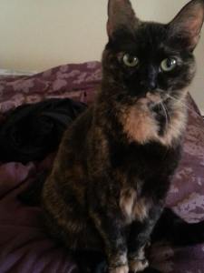 1239147_10200844731664781_797821471_o