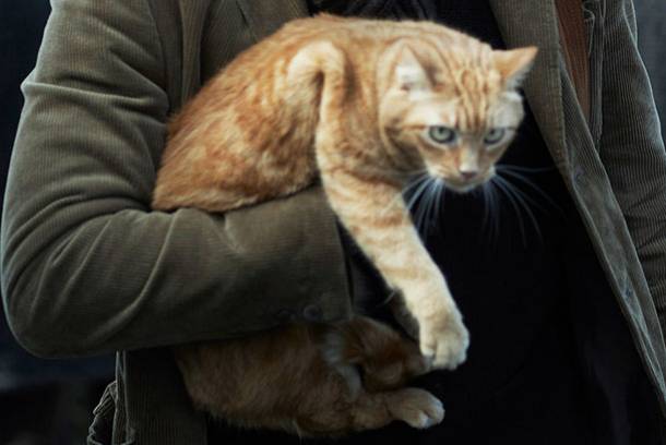 To be fair, it’s kind of hard to tell. Source: http://nym.ag/LalKq2