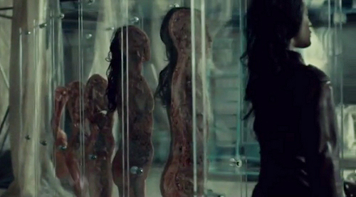 Poor Beverly. Source