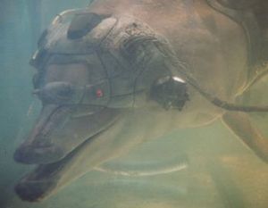 TriStar Pictures I completely understand why my professor chose this for me now.